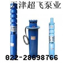 天津潛水電機(jī)，天津潛水泵