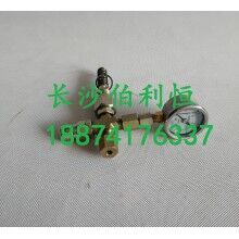 批發(fā)原裝正品攪拌機(jī)配件，三一JX3000潤滑油泵芯